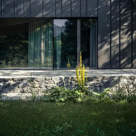 فندق Dietlgut هينترستودر